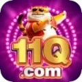 11q - Premium v1.9.6